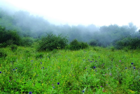 百里峽邊，白草畔巔；放松心情，迎接挑戰。(圖2)